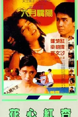 我的刺猬女孩 电视剧